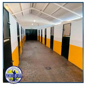 pintura de naves y techos