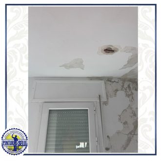 Reparación de humedades | Soluciones eficaces para paredes, techos y sótanos