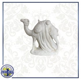 Camello para Belén